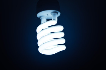 Top LED Filament Bulbs